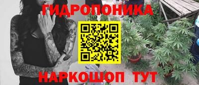 гидропоника Туймазы