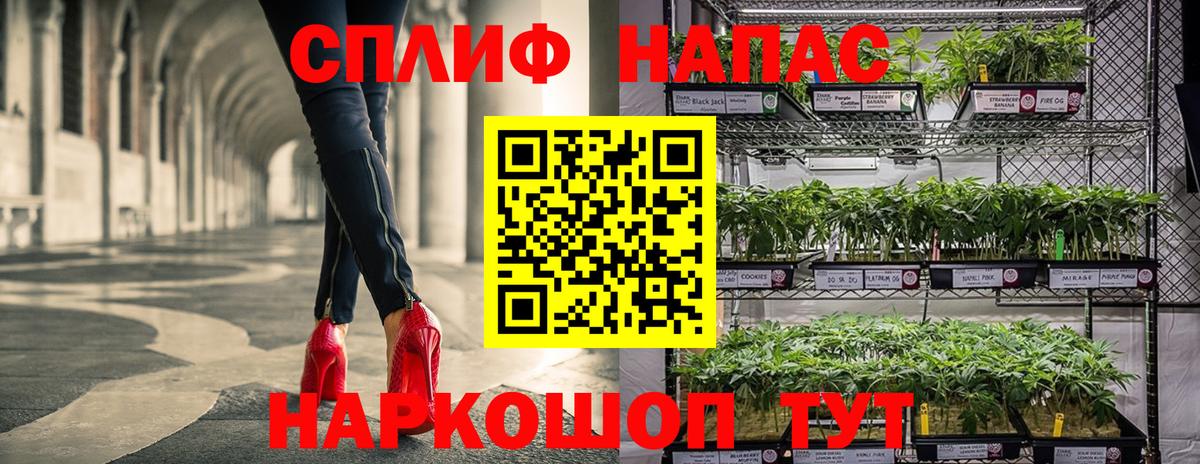 Конопля конопля Кунгур